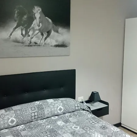Paradita Del Camino